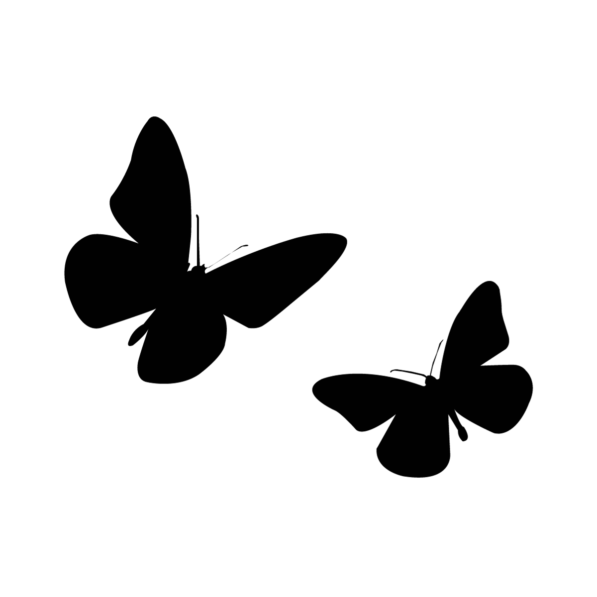 Butterfly duo